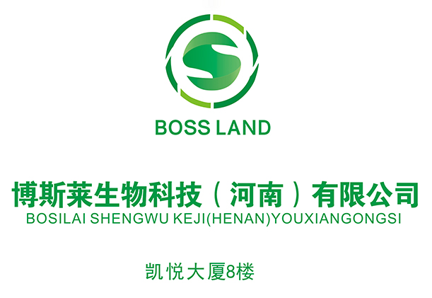 门头.jpg