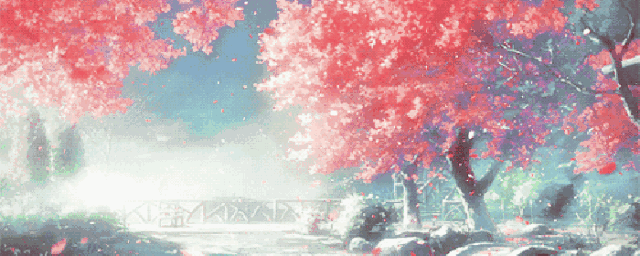 1526289037189297.gif
